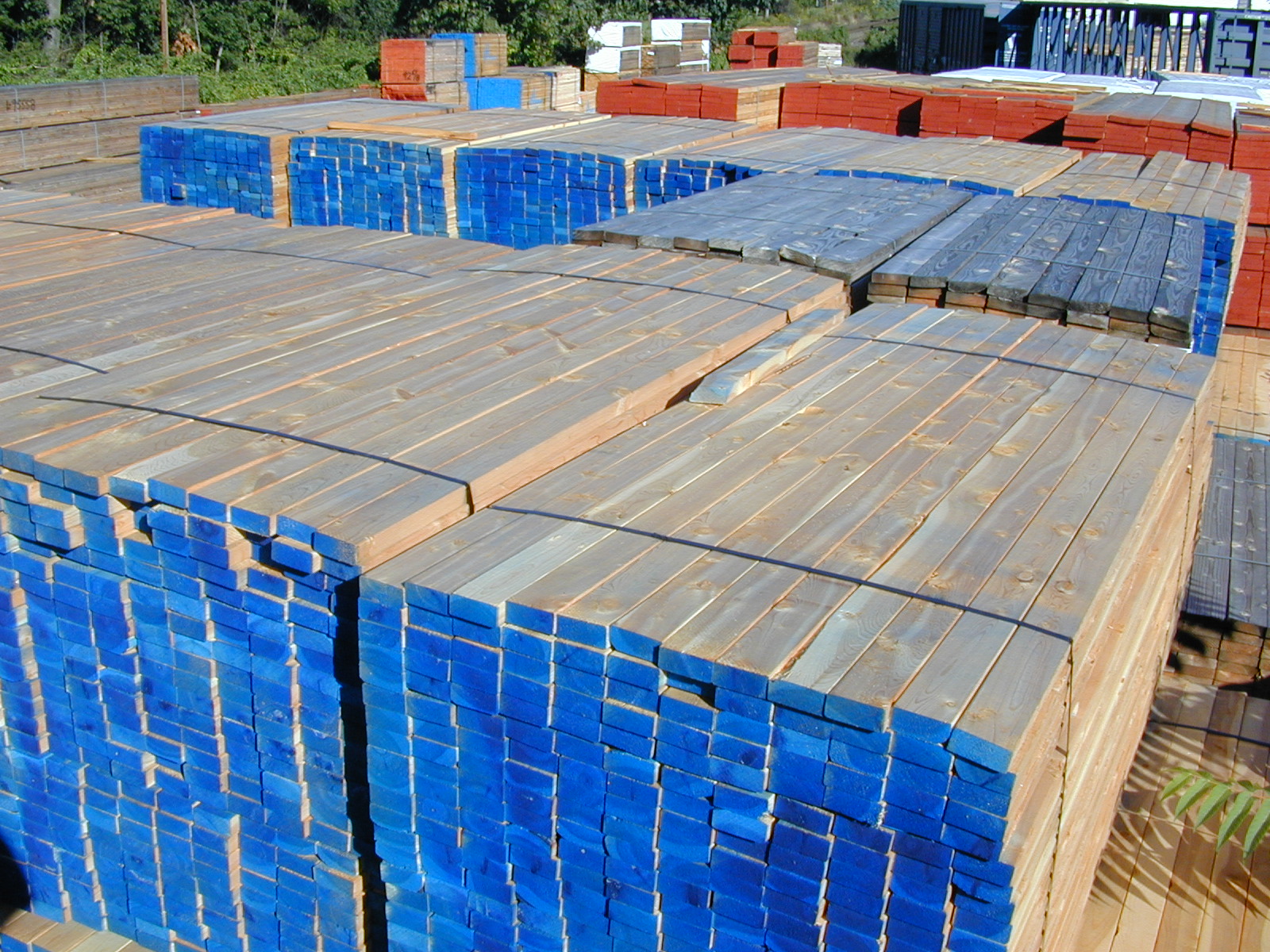 Lumber & Framing