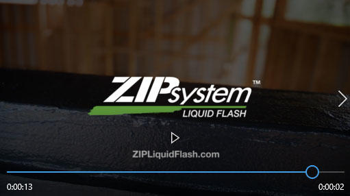 Zip Flash Video