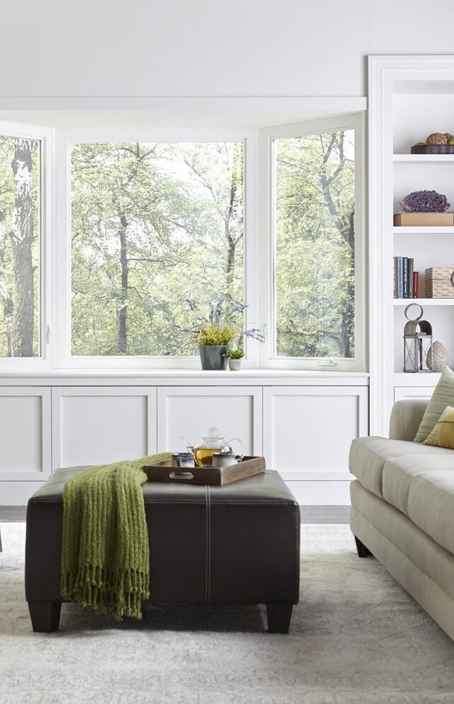 JELD-WEN Premium Vinyl Double-Hung Windows