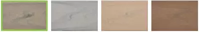Transcend Lineage Colors