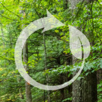 Sustainability