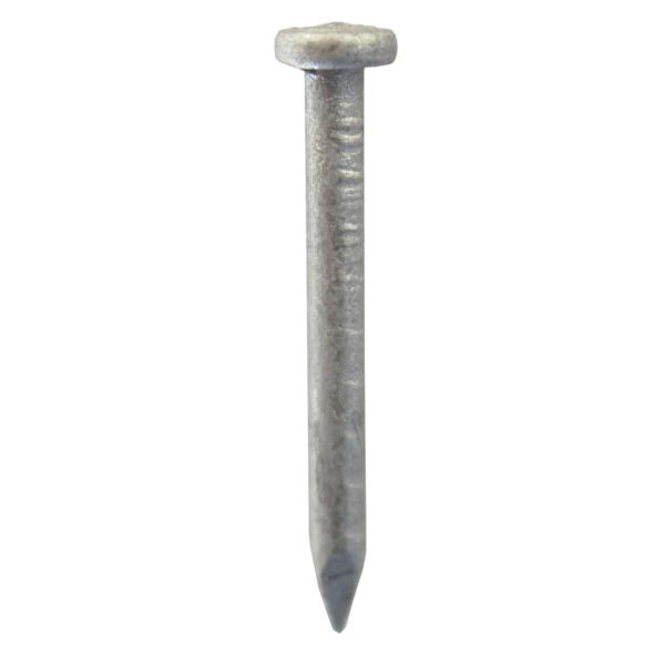 Exterior Galvanized Joist Hanger Nail