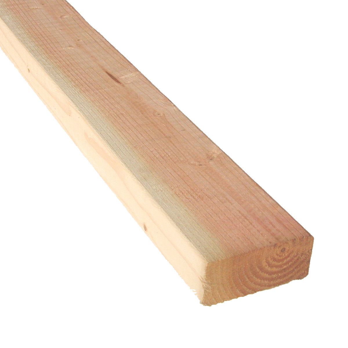 Douglas Fir Dry #2 Premium/#1