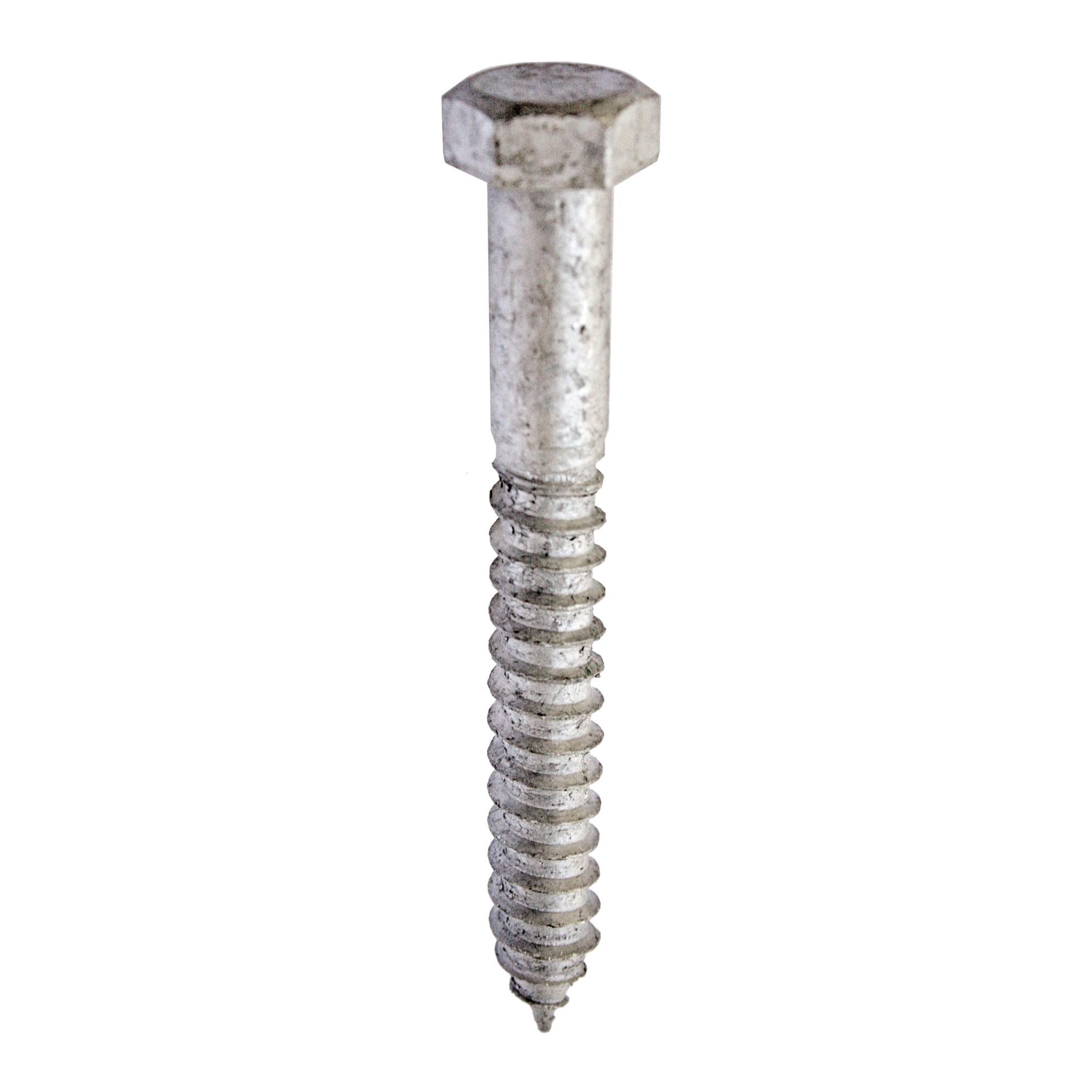 1 4 X 6 Hillman Hot Dipped Galvanized Hex Lag Screw Kelly Fradet