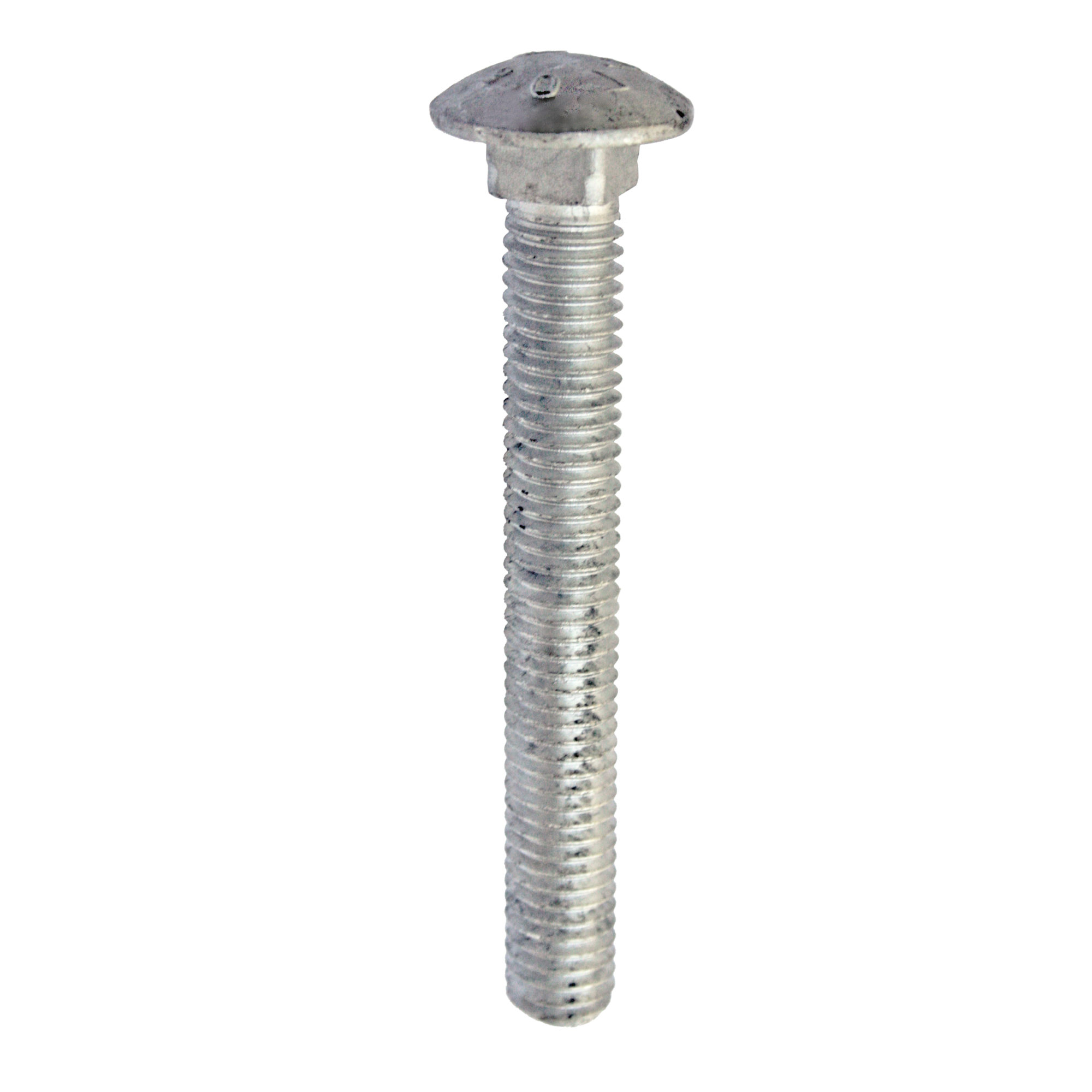 Hot Dipped Galvanized Carriage Bolt