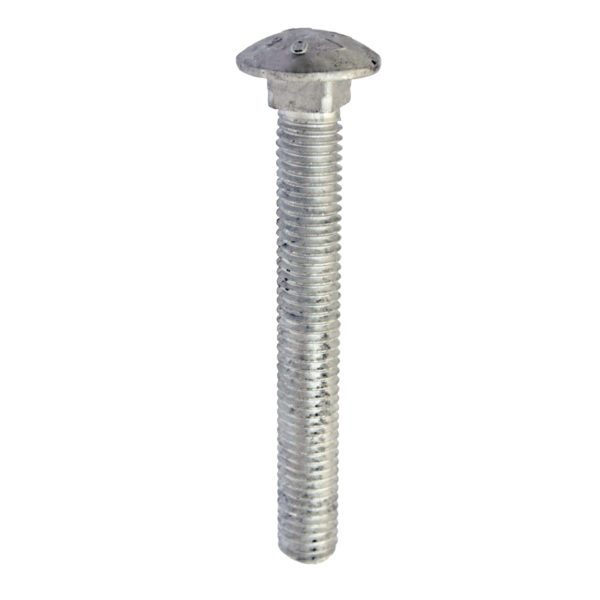 Hot Dipped Galvanized Carriage Bolt
